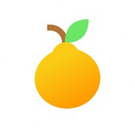 Satsuma Technology
