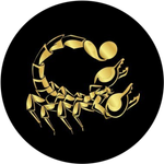 Scorpion Casino