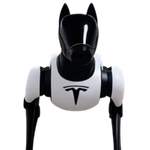 Tesla Dog