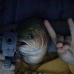 The Big Trout