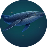 The Blue Whale
