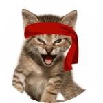 The Roaring Kitty