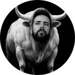 The White Bull