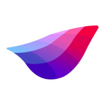veToken Finance