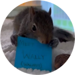 Wally