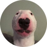 Walter