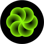 Wasabi