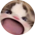 WAWA CAT