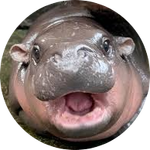 WORLD MOODENG