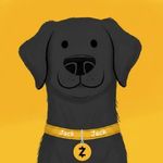 Zooko's Dog