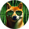 AI INU