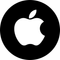 Apple (Coinbase Tokenized Stock)