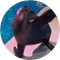Arie The Sealion icon