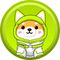 Asteroid Shiba