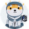 Asteroid The Space Shiba Inu icon