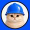 Basecat icon