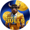Battle Bulls