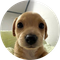Billy