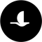 Blackbird