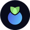Blueberry Protocol