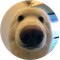 Boop