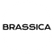 Brassica