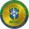 Brazil National Football Team Fan Token