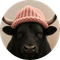bullwifhat