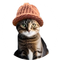 catwifhat icon