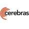 Cerebras Systems (Derivatives)