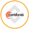 Cerebras Tokenized bStocks