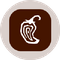 Chipotle Tokenized Stock (Ondo)