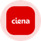 Ciena Tokenized Stock (Ondo)