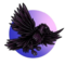 CROW