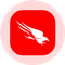CrowdStrike Holdings Inc (Derivatives)
