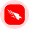 CrowdStrike Tokenized Stock (Ondo) (CRWDon)