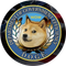 Department Of Government Efficiency