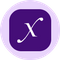 Direxion Daily Semi Bull 3X ETF Tokenized ETF (Ondo)
