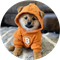 Dog icon