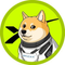 DOGE-1