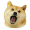 Doge Eat Doge