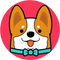 Doge KaKi