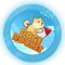 DOGE ROCKET (ROCKET)