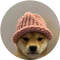dogwifhat (WIF)