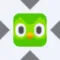 Duolingo xStock