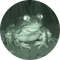 frong icon