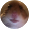 HAMI (HAMI)