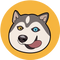 Hasaki