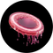 JELLY
