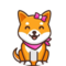 Kabosu